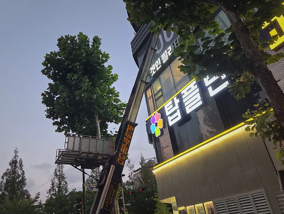 마포구 폐기물처리비용 작업 전후 5